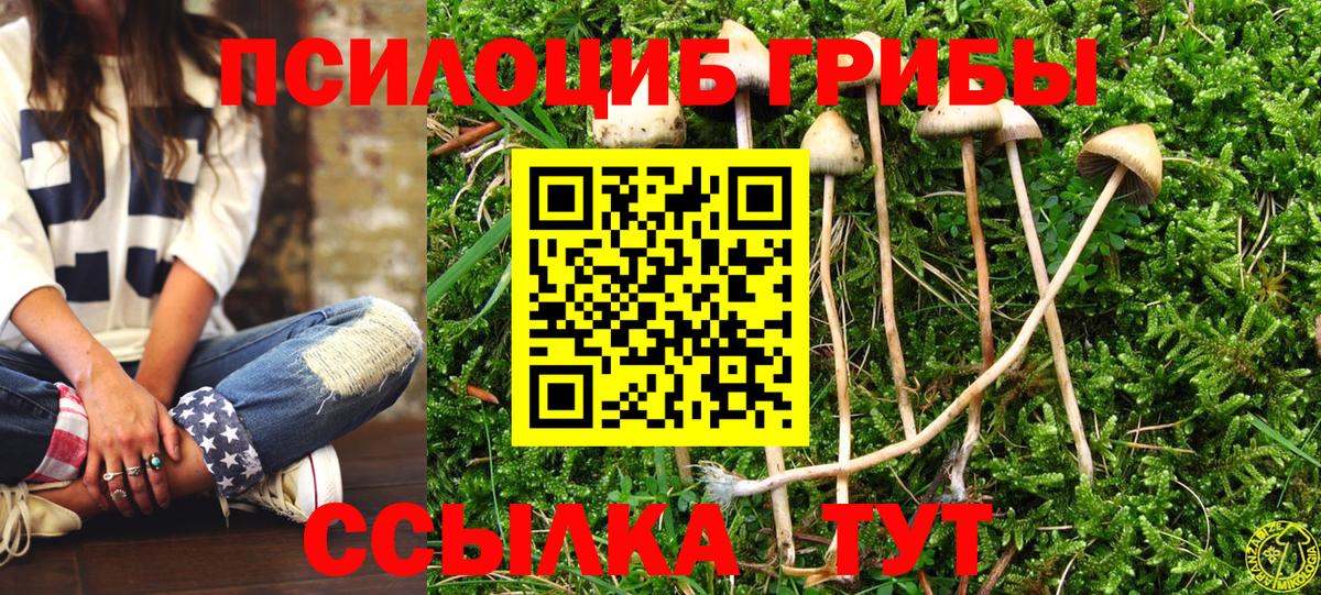 как найти закладки  Галлюциногенные грибы мухоморы  Вход с VPN  Ртищево 