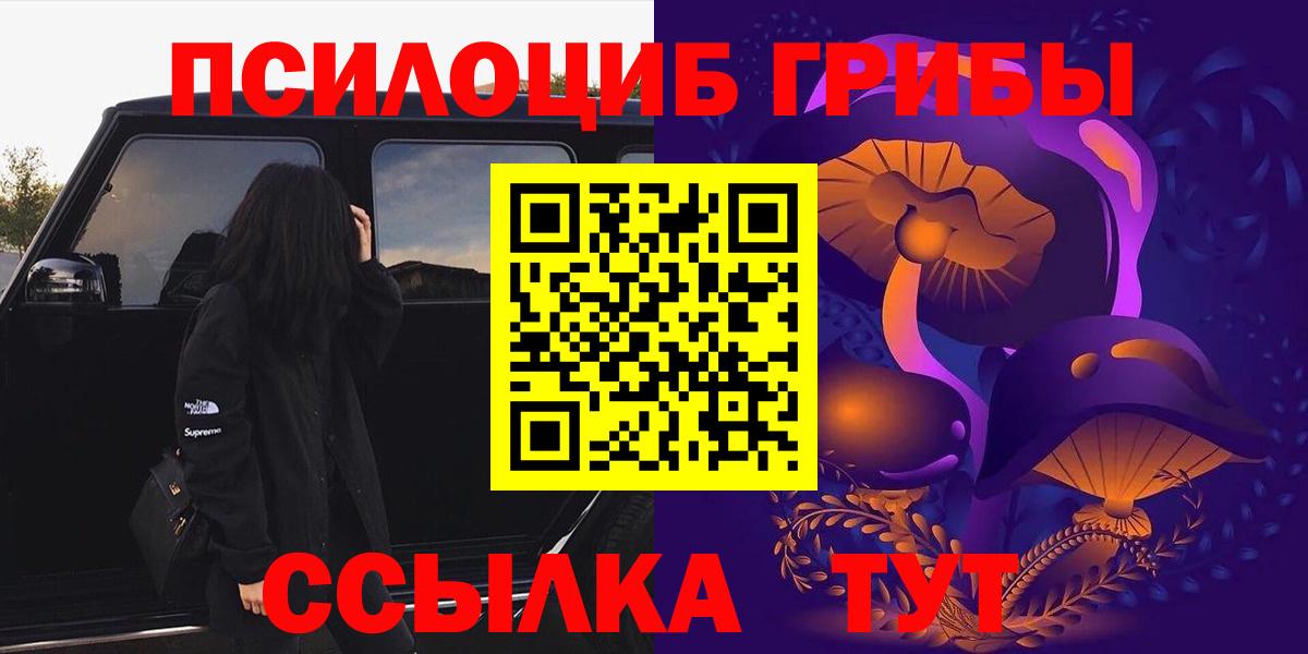 МЕФ Ртищево