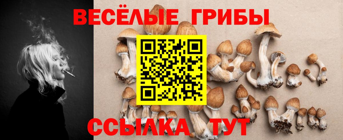 Галлюциногенные грибы Psilocybine cubensis Ртищево